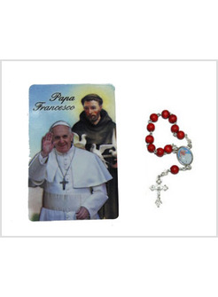 CARD PAPA FRANCESCO SFONDO SAN FRANCESCO CON DECINA PETALO DI ROSA