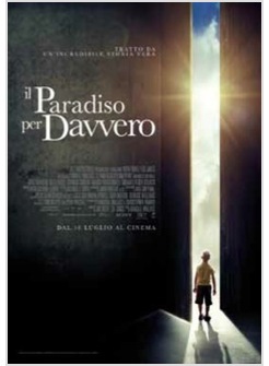 IL PARADISO PER DAVVERO DVD