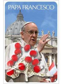DECINA PETALO DI ROSA CON CARD PAPA FRANCESCO