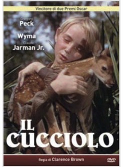 IL CUCCIOLO DVD