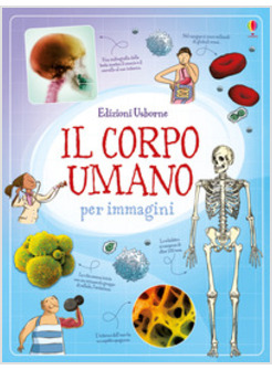 IL CORPO UMANO PER IMMAGINI