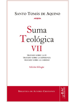 SUMA TEOLOGICA VII