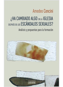 HA CAMBIADO ALGO EN LA IGLESIA DESPUES DE LOS ESCANDALOS SEXUALES?