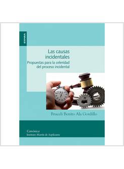 LAS CAUSAS INCIDENTALES
