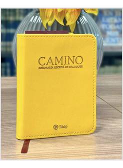 CAMINO
