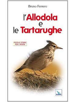 L'ALLODOLA E LE TARTARUGHE PICCOLE STORIE PER L'ANIMA