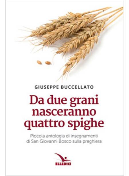 DA DUE GRANI NASCERANNO QUATTRO SPIGHE. INSEGNAMENTI DI SAN GIOVANNI BOSCO