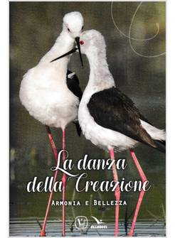LA DANZA DELLA CREAZIONE