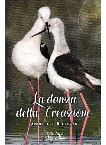 LA DANZA DELLA CREAZIONE