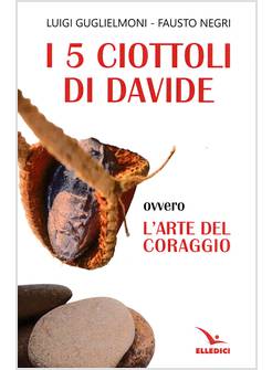 I 5 CIOTTOLI DI DAVIDE 