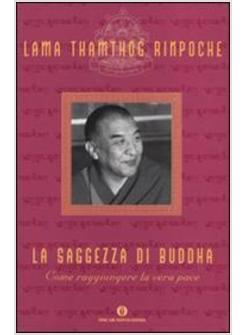 SAGGEZZA DI BUDDHA