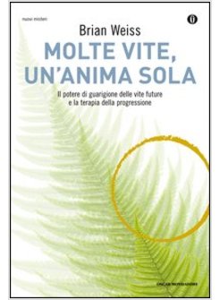 MOLTE VITE, UN'ANIMA SOLA. IL POTERE DI GUARIGIONE DELLE VITE FUTURE E LA TERAPI