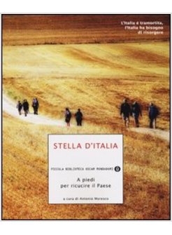 STELLA D'ITALIA