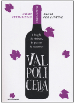 VALPOLICELLA. ANDAR PER CANTINE. WINESTORIES