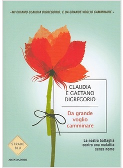 DA GRANDE VOGLIO CAMMINARE