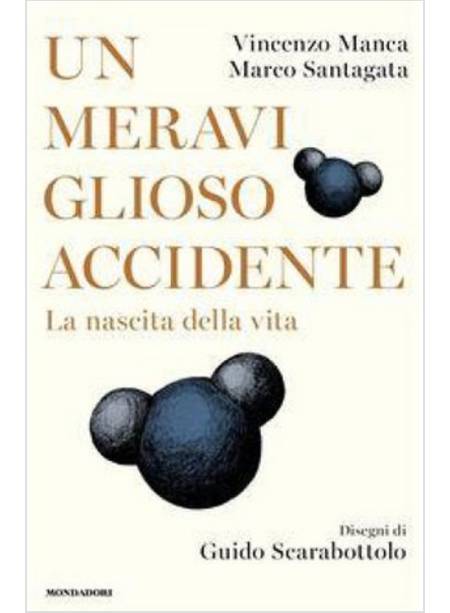 UN MERAVIGLIOSO ACCIDENTE. LA NASCITA DELLA VITA