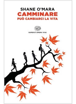 CAMMINARE PUO' CAMBIARCI LA VITA