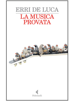 LA MUSICA PROVATA