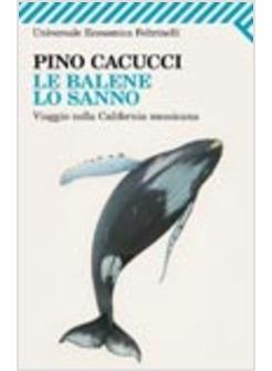 LE BALENE LO SANNO VIAGGIO NELLA CALIFORNIA MESSICANA 