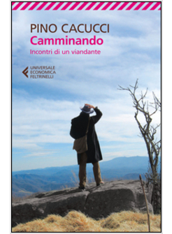 CAMMINANDO. INCONTRI DI UN VIANDANTE
