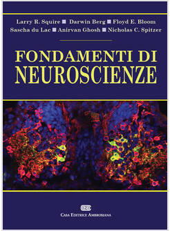 FONDAMENTI DI NEUROSCIENZE. CON CONTENUTO DIGITALE (FORNITO ELETTRONICAMENTE)