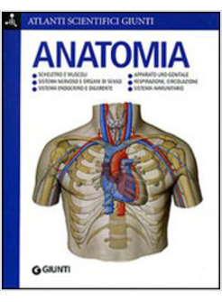 ANATOMIA