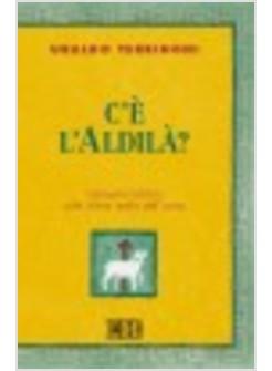 C'E' L'ALDILA'? INDAGINE BIBLICA SULLE ULTIME REALTA' DELL'UOMO