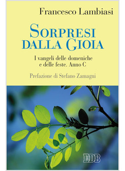 SORPRESI DALLA GIOIA. I VANGELI DELLE DOMENICHE E DELLE FESTE. ANNO C