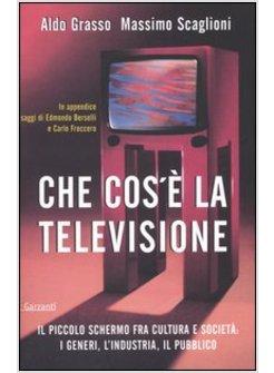 CHE COS'E' LA TELEVISIONE