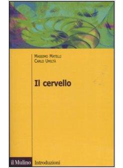 CERVELLO ANATOMIA E STRUTTURA DEL SISTEMA NERVOSO CENTRALE (IL)