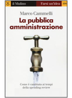 PUBBLICA AMMINISTRAZIONE. COSA E', COSA FA E COME E' CAMBIATA