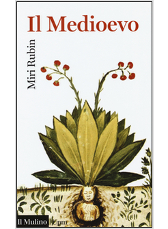 IL MEDIOEVO