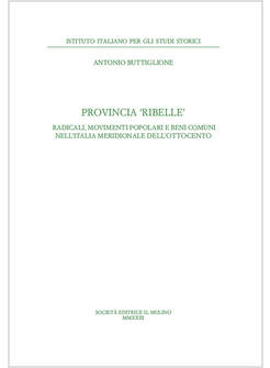 PROVINCIA RIBELLE. RADICALI, MOVIMENTI POPOLARI E BENI COMUNI NELL'ITALIA MERIDI