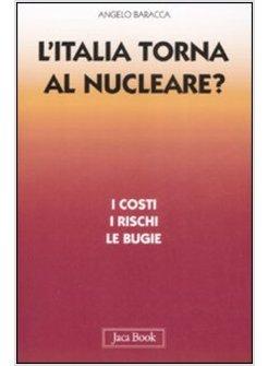 ITALIA TORNA AL NUCLEARE I COSTI I RISCHI E LE BUGIE (L')