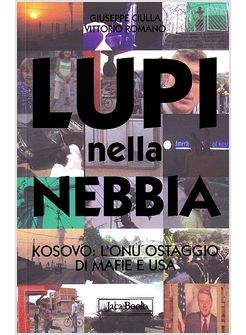 LUPI NELLA NEBBIA ONU MAFIE USA