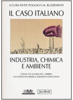 CASO ITALIANO. INDUSTRIA, CHIMICA E AMBIENTE. CON CD-ROM (IL)
