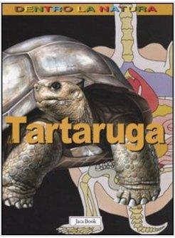 TARTARUGA (LA)