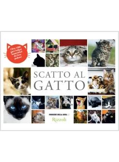 SCATTO AL GATTO