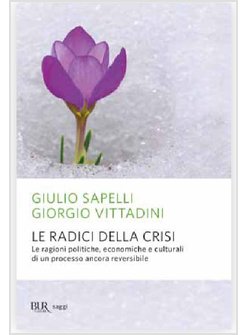 ALLE RADICI DELLA CRISI. LE RAGIONI POLITICHE, ECONOMICHE E CULTURALI