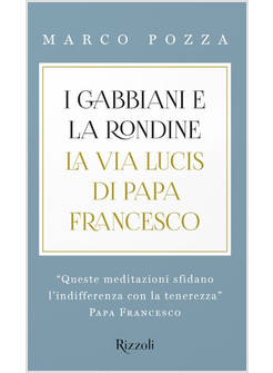 I GABBIANI E LA RONDINE LA VIA LUCIS DI PAPA FRANCESCO