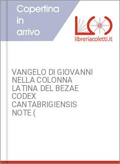 VANGELO DI GIOVANNI NELLA COLONNA LATINA DEL BEZAE CODEX CANTABRIGIENSIS NOTE (