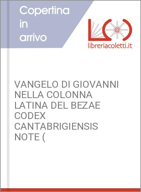 VANGELO DI GIOVANNI NELLA COLONNA LATINA DEL BEZAE CODEX CANTABRIGIENSIS NOTE (