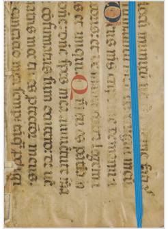 AGENDA TASCABILE BIBLIOTECA APOSTOLICA VATICANA 2021