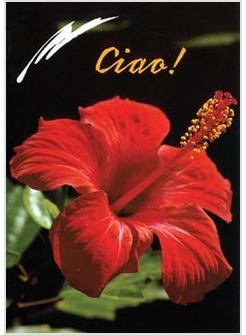 CIAO!
