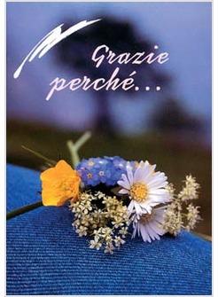 GRAZIE PERCHE'