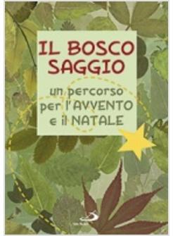 BOSCO SAGGIO UN PERCORSO PER L'AVVENTO E IL NATALE