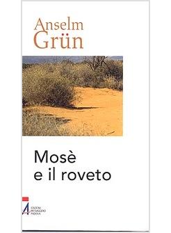 MOSE' E IL ROVETO 