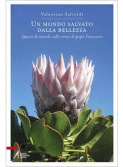 UN MONDO SALVATO DALLA BELLEZZA. SPUNTI DI MORALE SULLE ORME DI PAPA FRANCESCO