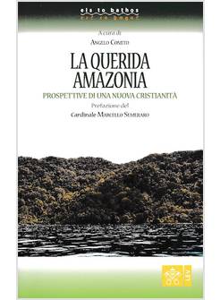 LA QUERIDA AMAZONIA PROSPETTIVE DI UNA NUOVA CRISTIANITA'