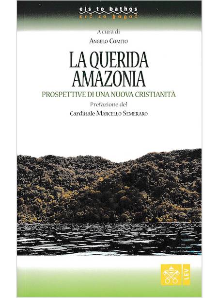LA QUERIDA AMAZONIA PROSPETTIVE DI UNA NUOVA CRISTIANITA'